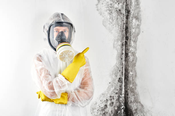 Best Residential Mold Inspection & Testing  in USA